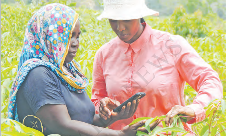 When mobile phones reach TZ farms, smallholders gain opportunities, but new digital divides emerge