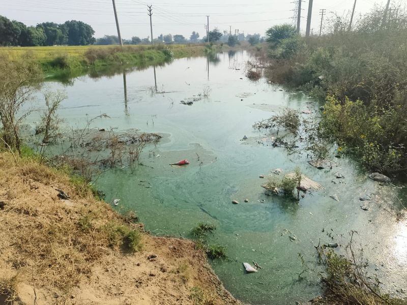 BDPO fined Rs 25,000 over garbage dumping, wastewater discharge in Rewari village