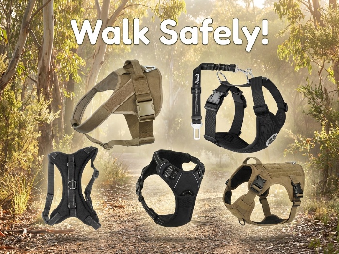 Best in Class: The Ultimate Line-up of Dog Collars, Harnesses & Leads