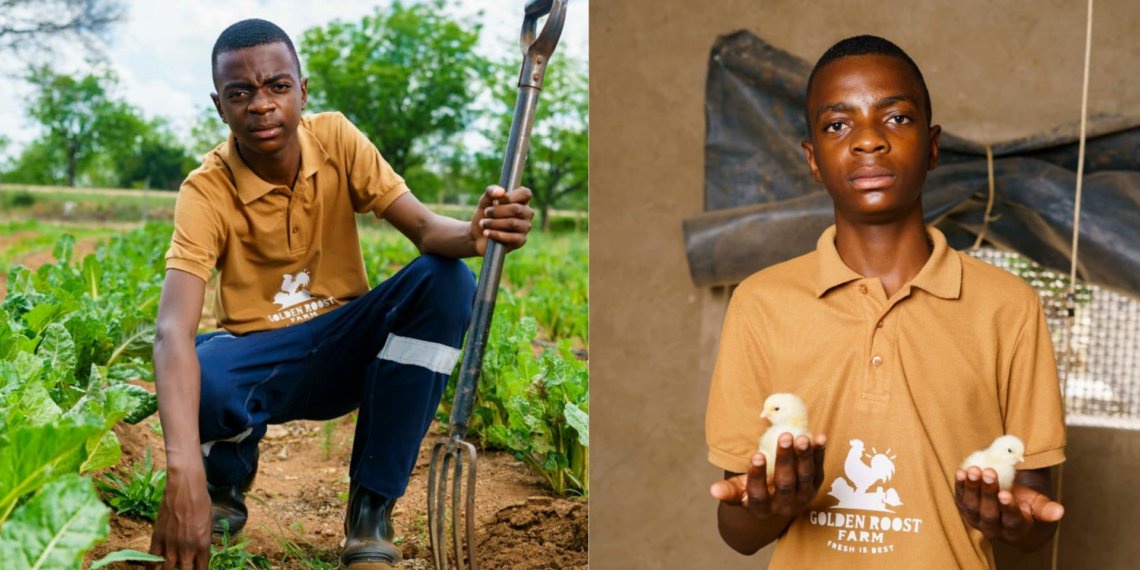 Limpopo teen farmer turns dream into growing poultry business