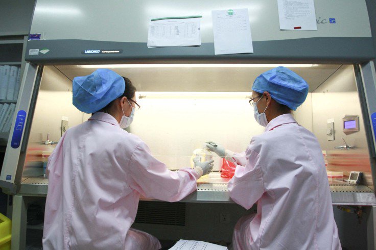 NIH Tells HIV and Tuberculosis Trial Networks to Delay New Studies as Funding Renewal Notices Stall at HHS