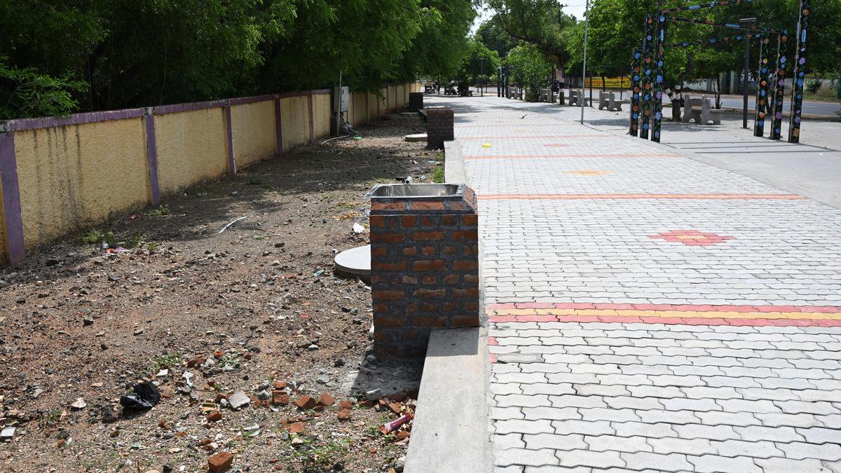 Roadside stalls multiply in Tiruchi as food street project gets delayed
