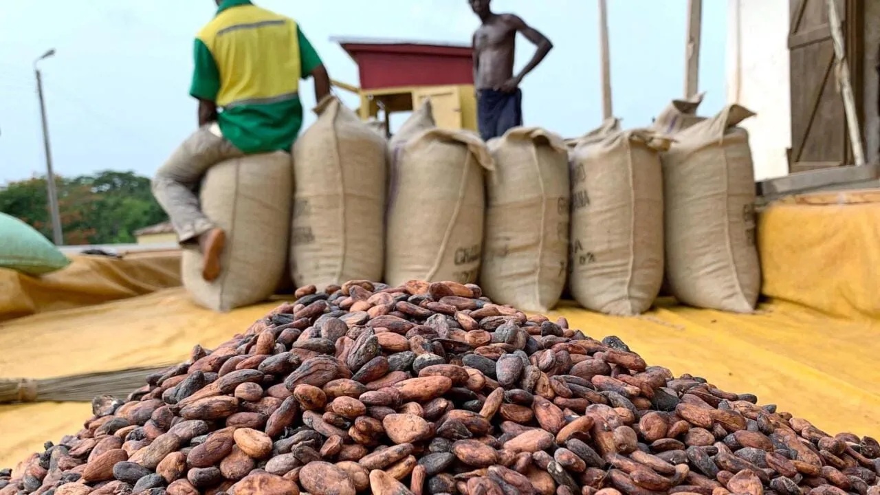 Campagne cacao ivoirien 2026-2027 : la carte du producteur et le SNT expliqués à Duékoué