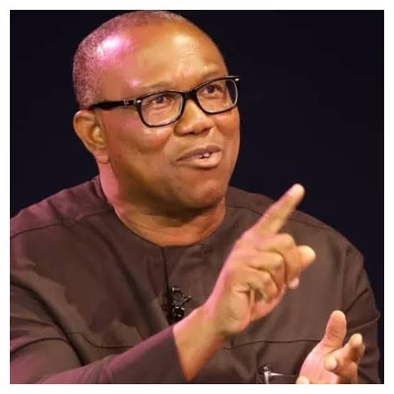 Peter Obi Reacts After Rilwan Olawale Was Allegedly Arrested for Campaigning for Him