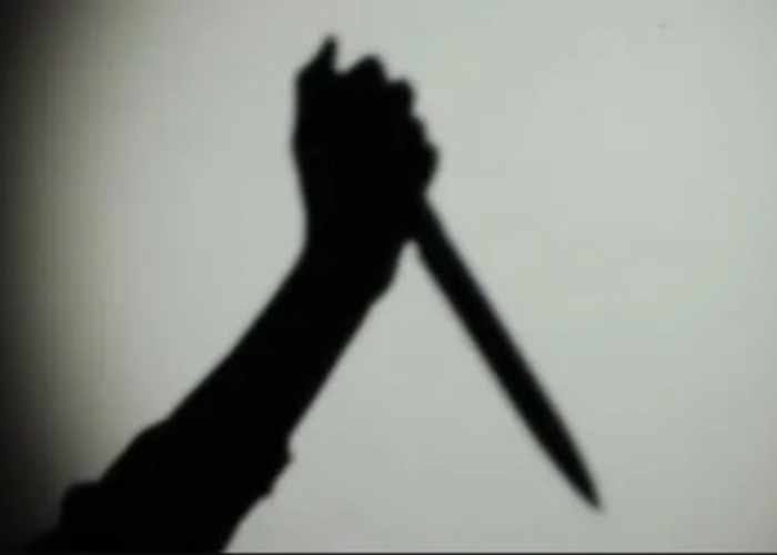 Meerut Woman Held for Allegedly Drugging Husband’s Coffee, Attacking Him With Knife