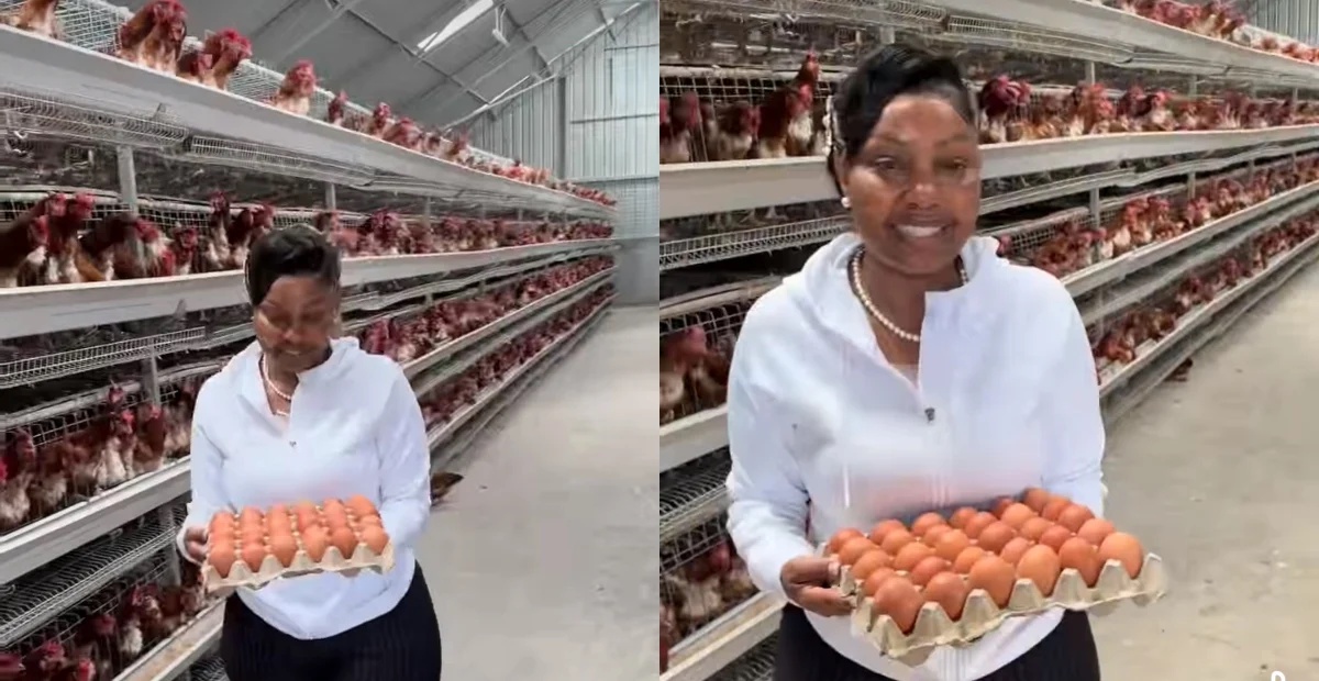 From Politics to Poultry Farming: Millicent Omanga Shows Kenyans Her Business Side
