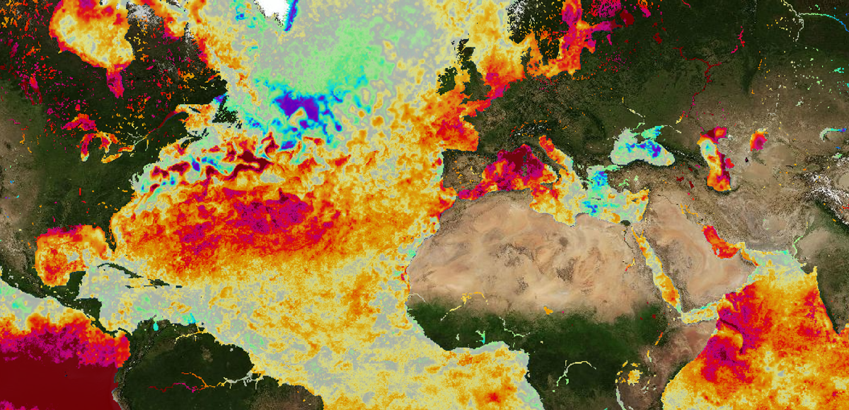 El Nino forecast update as weather experts urge ‘act now’ with disease warning