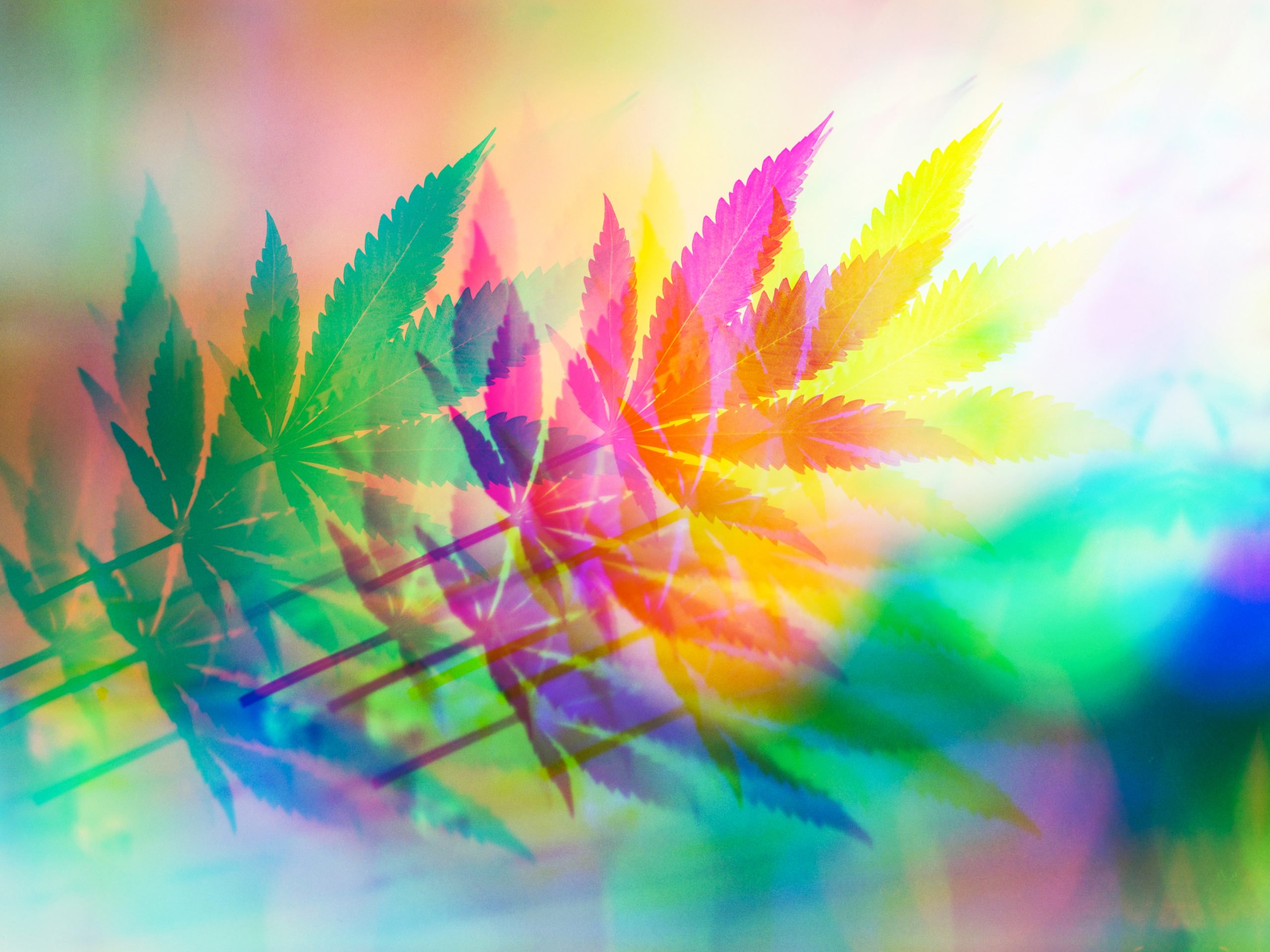 It’s Time to Allow Marijuana Use in Prison
