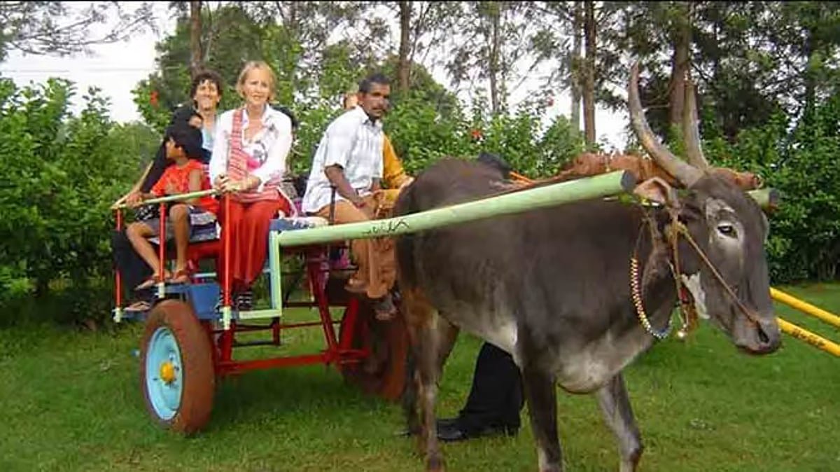 Chhattisgarh promotes rural tourism to boost livelihoods, empower tribal communities