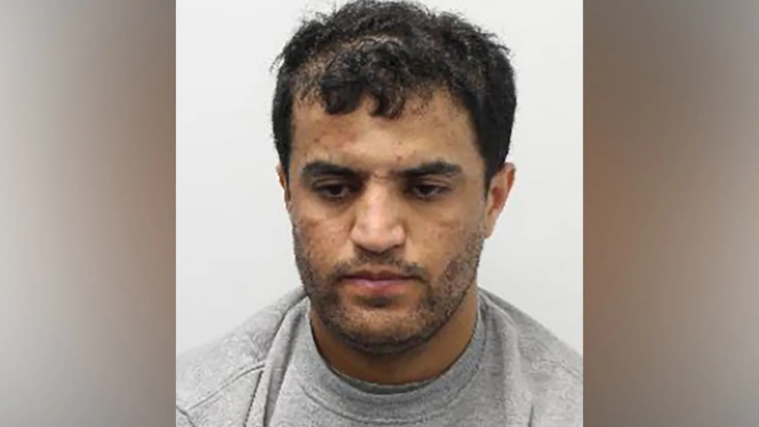 Man detained for stabbing dog walker to death