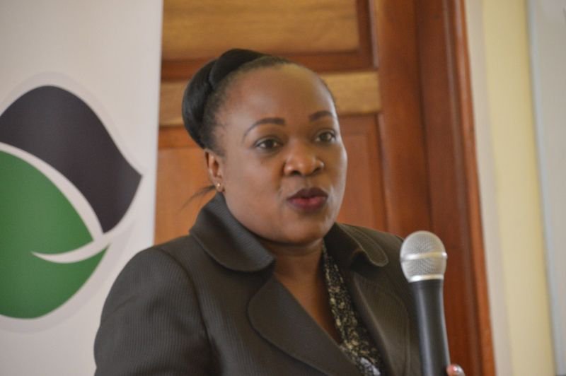 Moyale Hosts Up to 40,000 Ethiopian Refugees, KNCHR Calls for Urgent Aid