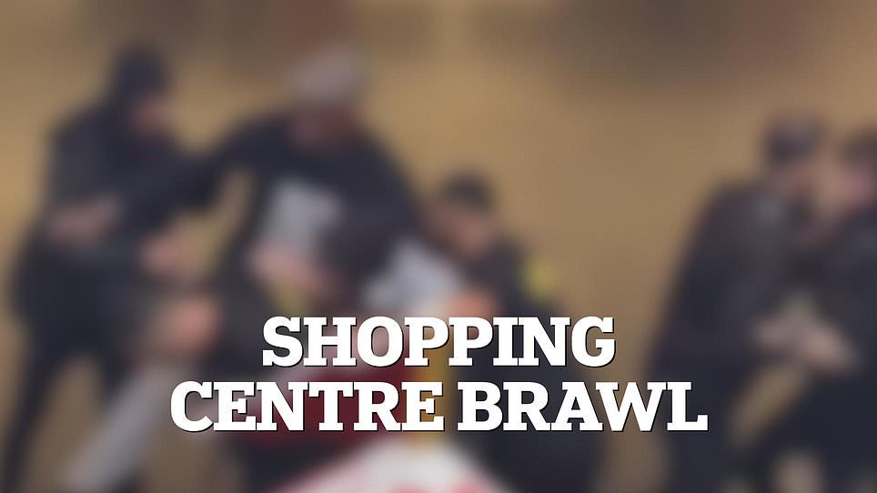 Footage emerges of school holiday brawl in Melbourne shopping centre