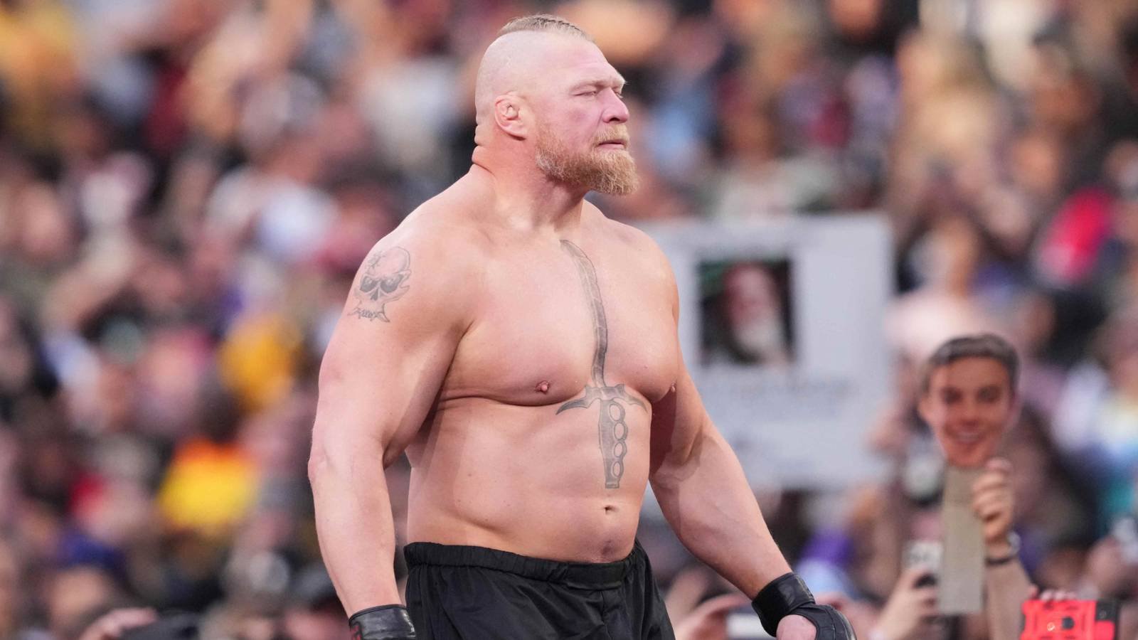 Brock Lesnar Named One WWE Superstar Stronger Than Him