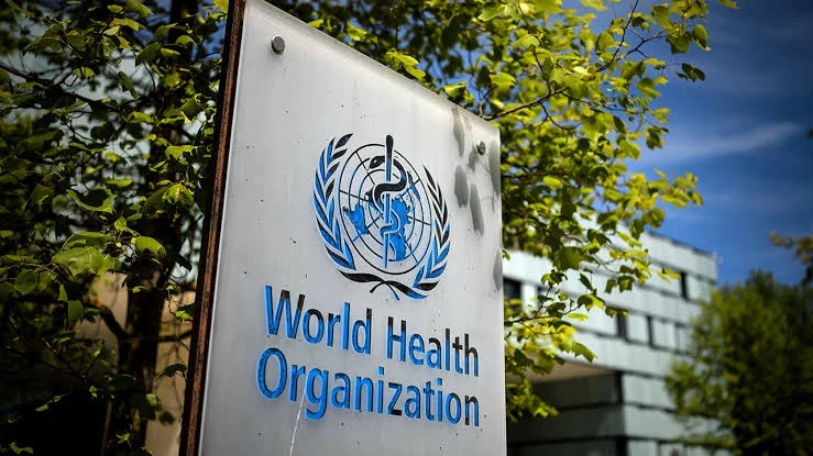 Ebola: WHO Raises Concern as Nigeria Records First Case of Deadly Strain in West Africa