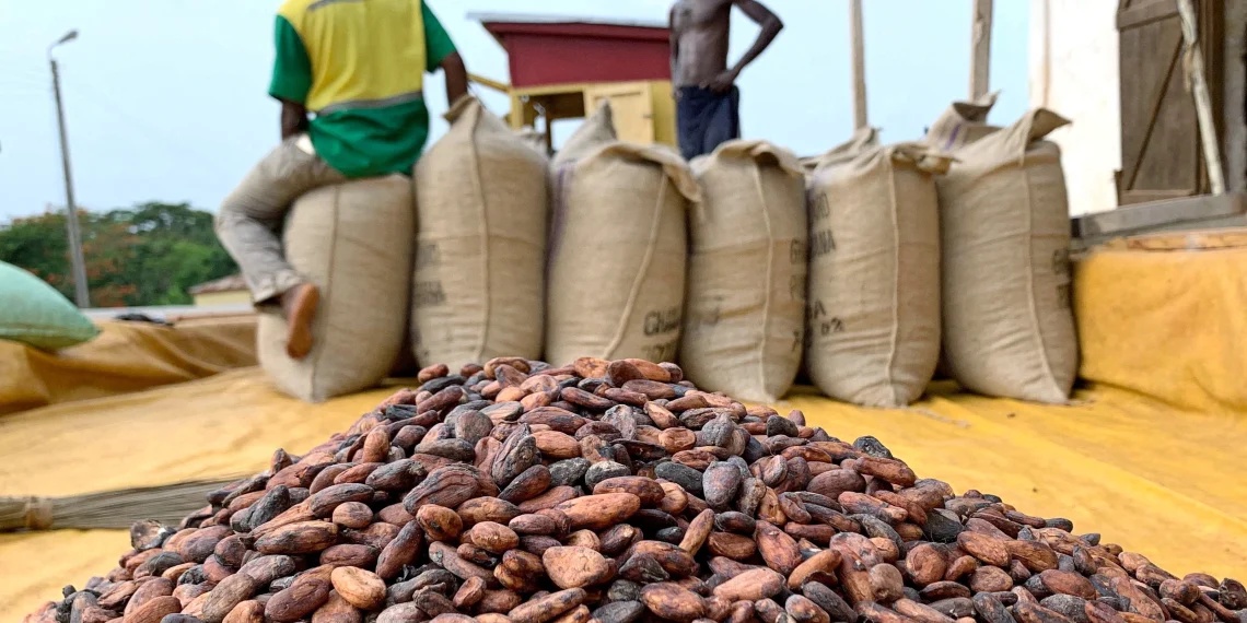 COCOBOD’s Cocoa Capital to raise GH¢16.3bn locally for cocoa purchases