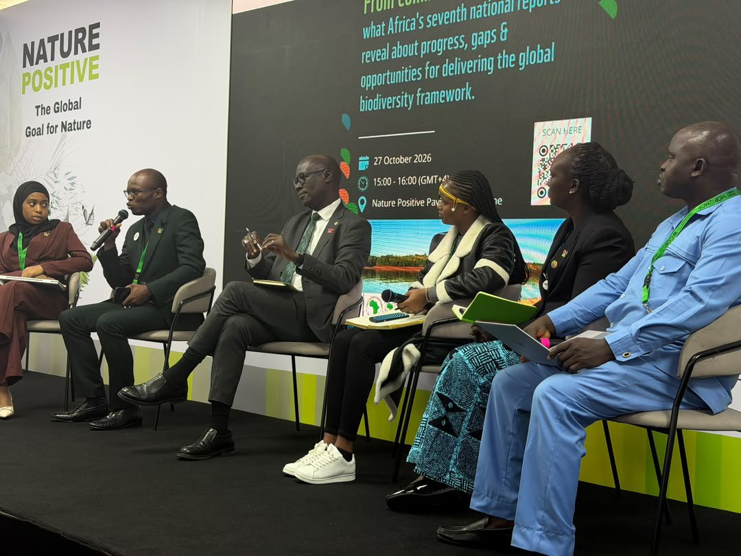 CBD COP17: Why African countries struggle to mobilise biodiversity funding – AfDB official