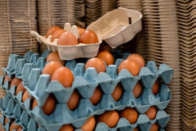 Urgent warning issued after Salmonella found in imported eggs from Ukraine