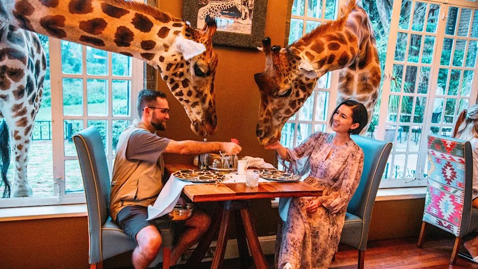 I stayed at the viral giraffe hotel in Kenya — here’s what no one tells you