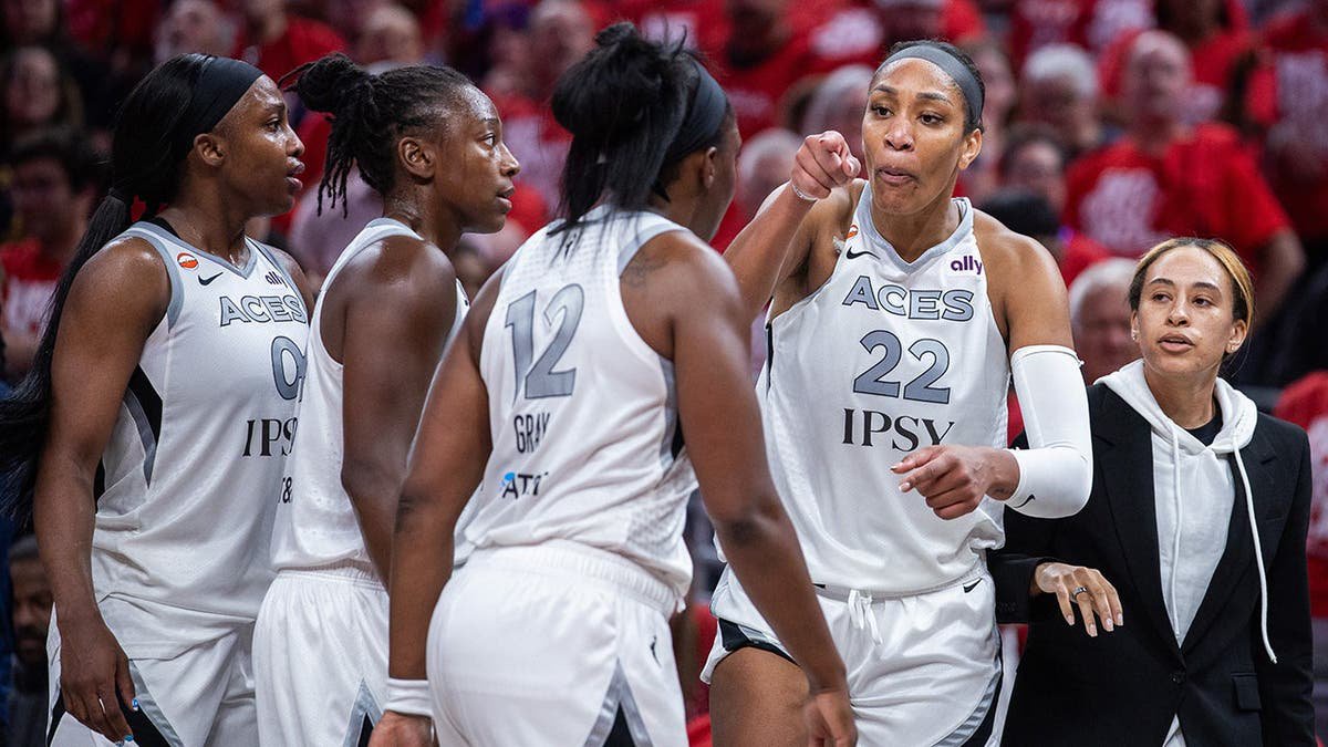 WNBA refs miss opportunity to eject A’ja Wilson over meltdown, entering stands