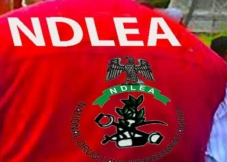 NDLEA Warns Exporters Against Drug Trafficking