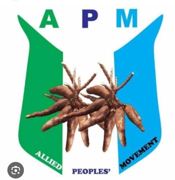 Tinubu’s $21.5bn Loan Bid Risks Turning Nigeria into Another Egypt Under Khedive Isma’il- MDPCO