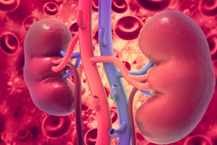 10 signs that may mean your kidneys are not working properly