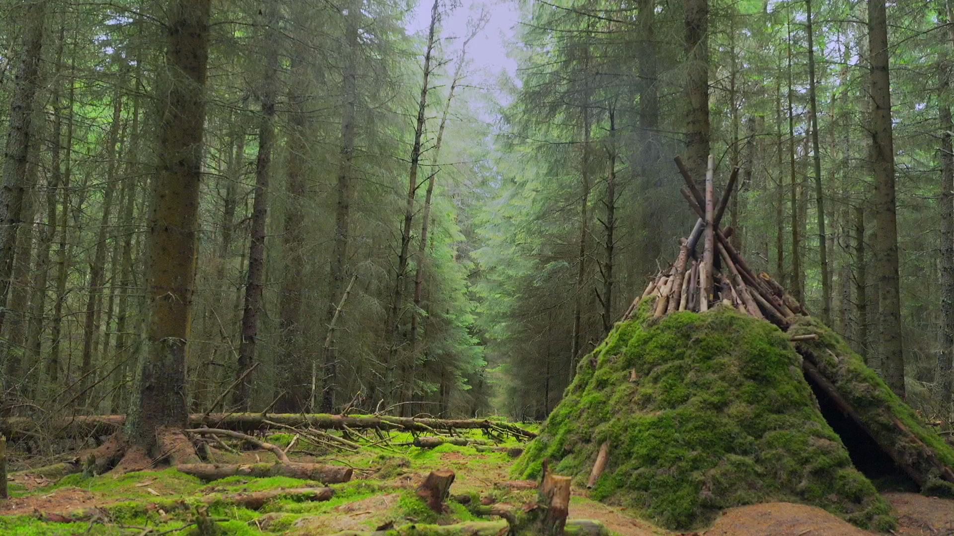 Learning the ancient art of survival in Scottish Highlands
