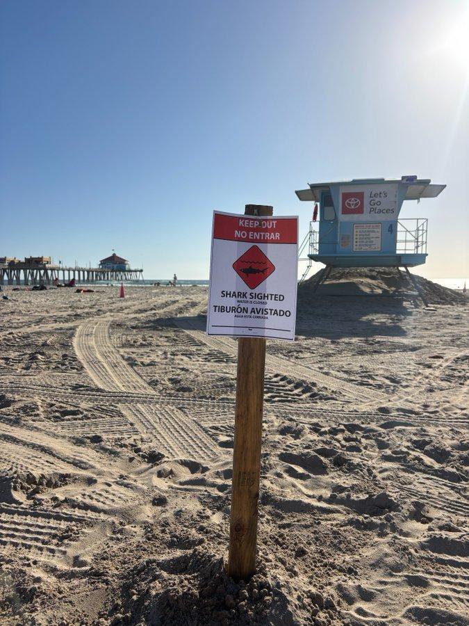 Aggressive’ great white shark forces sudden closure of SoCal beach