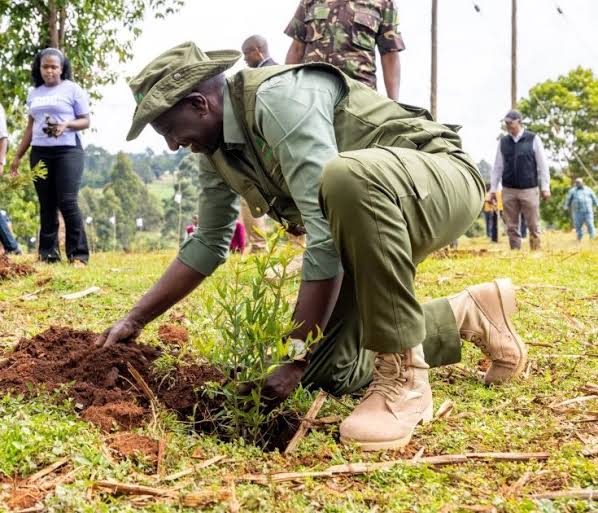 Government Mobilises 200,000 Kenyans for One-Hour Tree-Planting Exercise on Mazingira Day