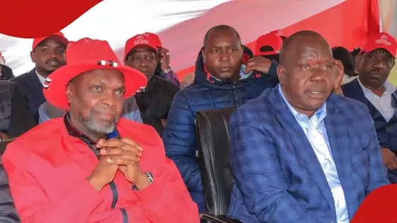Gathoni Wamuchomba Quits Ruto’s UDA Party Months after Rejoining from Gachagua’s Camp