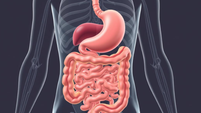 Why Some People Experience Frequent Stomach Noises Even When They Are Not Hungry