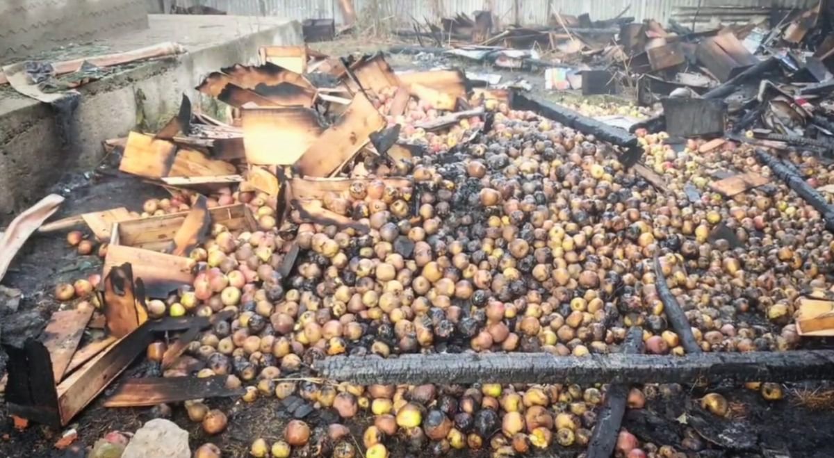 Apple Stock Goes Up in Flames in Sopore