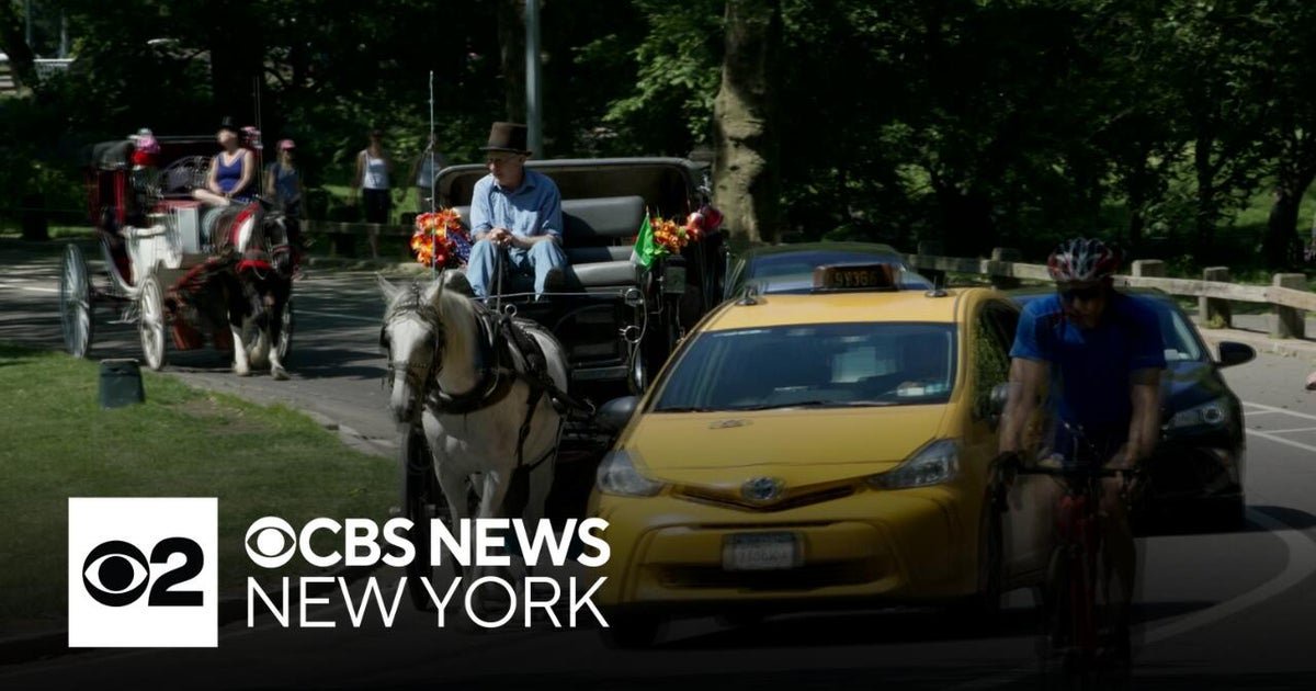 New York City Council set to pass bill banning Central Park horse carriages
