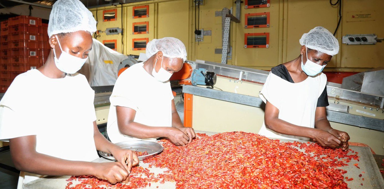 Kenya secures new export market to China for dried chillies