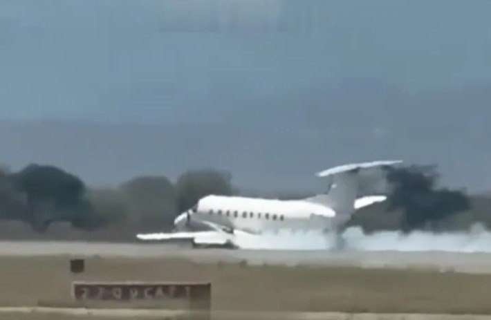 Moment plane packed with tourists makes emergency landing after hitting ZEBRA during take-off as smoke billows from wing