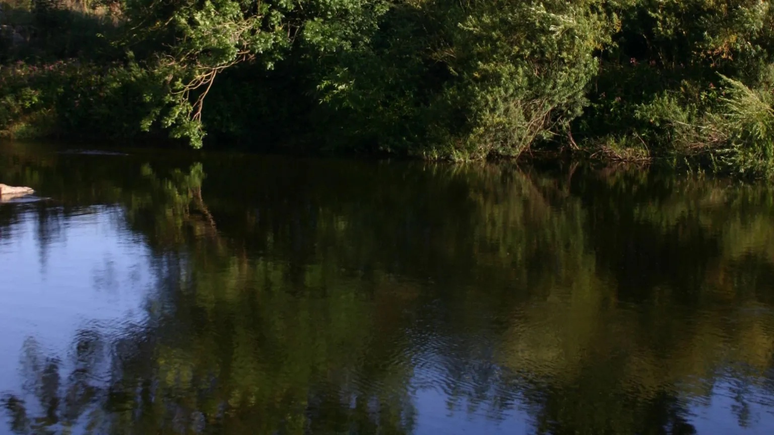 Yorkshire Water admits sewage scheme falls short