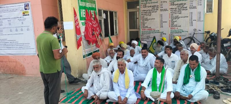 Farmers gherao Market Committee office in Sirsa, seek fair price for paddy