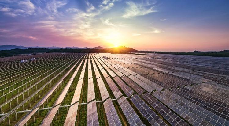 FinMin Aurangzeb reaffirms support for V20’s climate finance agenda