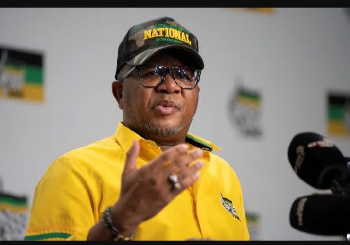 ANC Secretary General Fikile Mbalula Warns Comrades Of Consequences If Party Fails