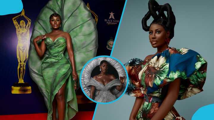 Nana Akua Addo: Fashion Icon Shares New Professional Photo With Cryptic Image Amid Domestic Incident