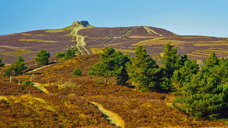 Plans for new national park may be scrapped this week, campaigners say