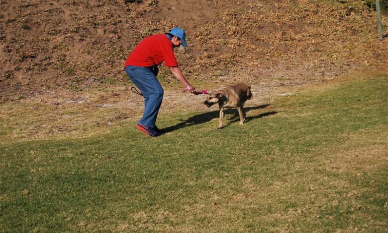 Bromhof dog behaviourist bridges gap between dogs and owners