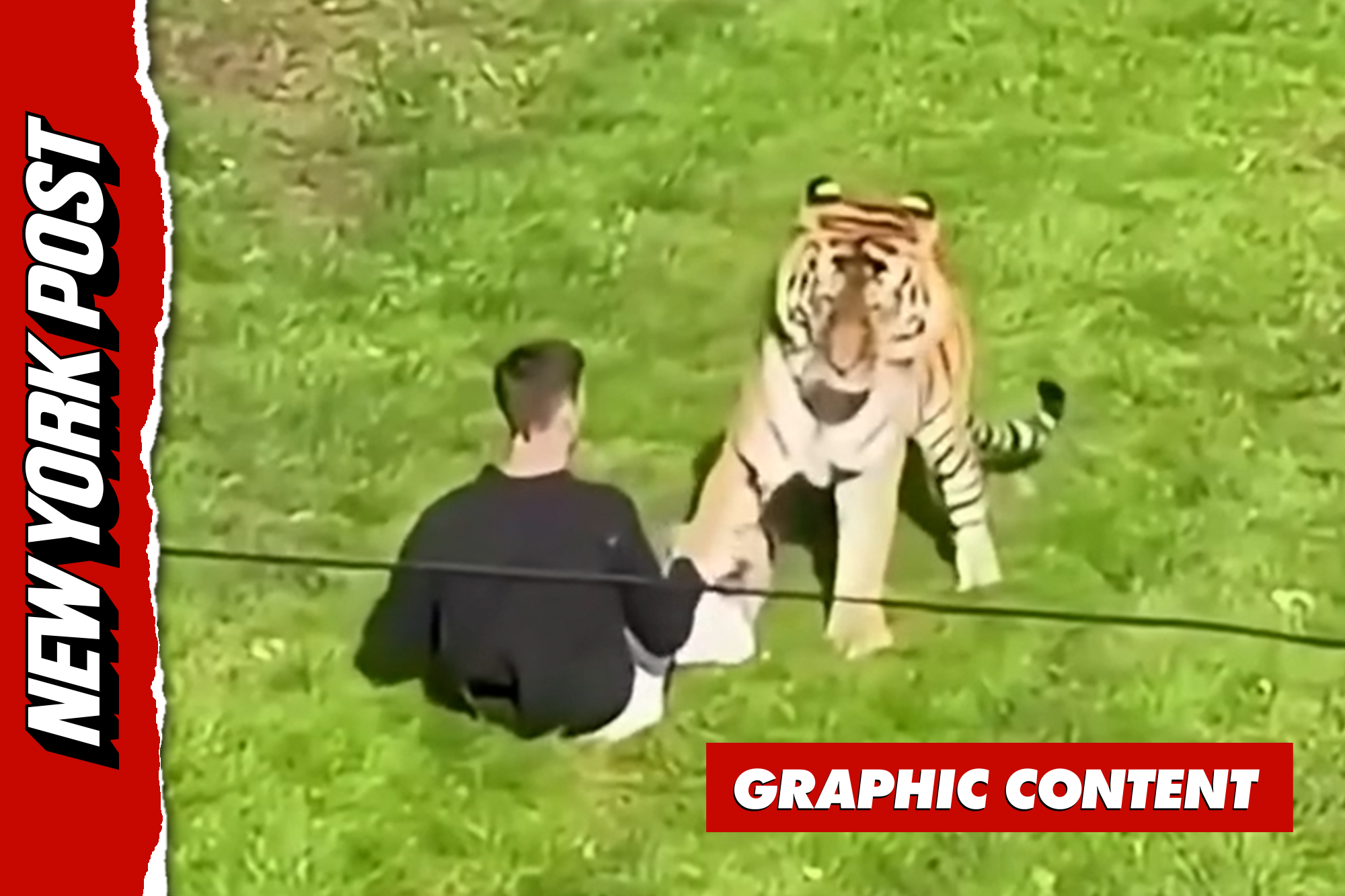 New footage shows harrowing final moments of man mauled to death by Tiger at UK zoo