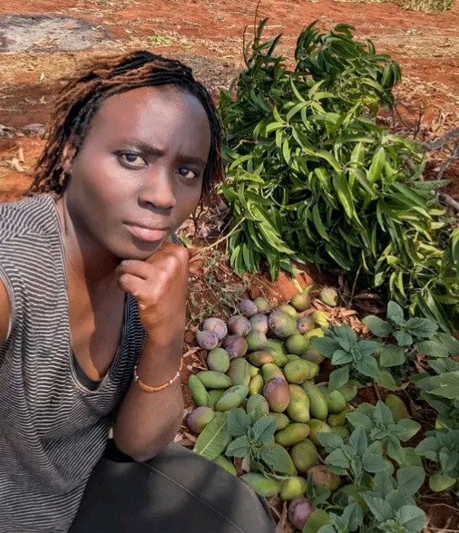 Makueni Woman Returns from Abroad to Pursue Farming, Only for Elephants to Destroy Her Investment