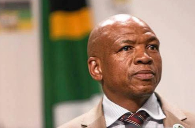ANC MP Supra Mahumapelo Moves to Strip Citizens of Nationality — For Speaking Abroad