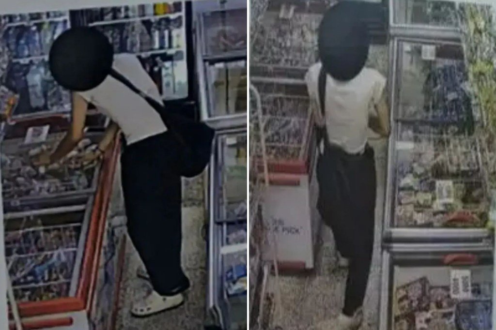Moment idiot woman ‘melts ice cream shop’s stock after unplugging freezer to charge PHONE’
