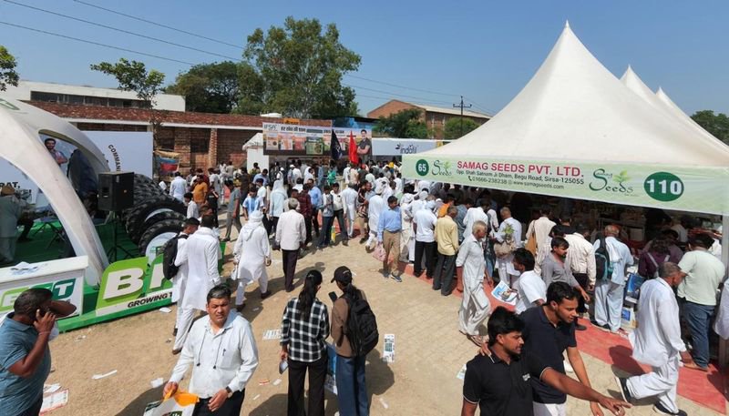 Hisar agri varsity steps up efforts for reviving cotton cultivation in state