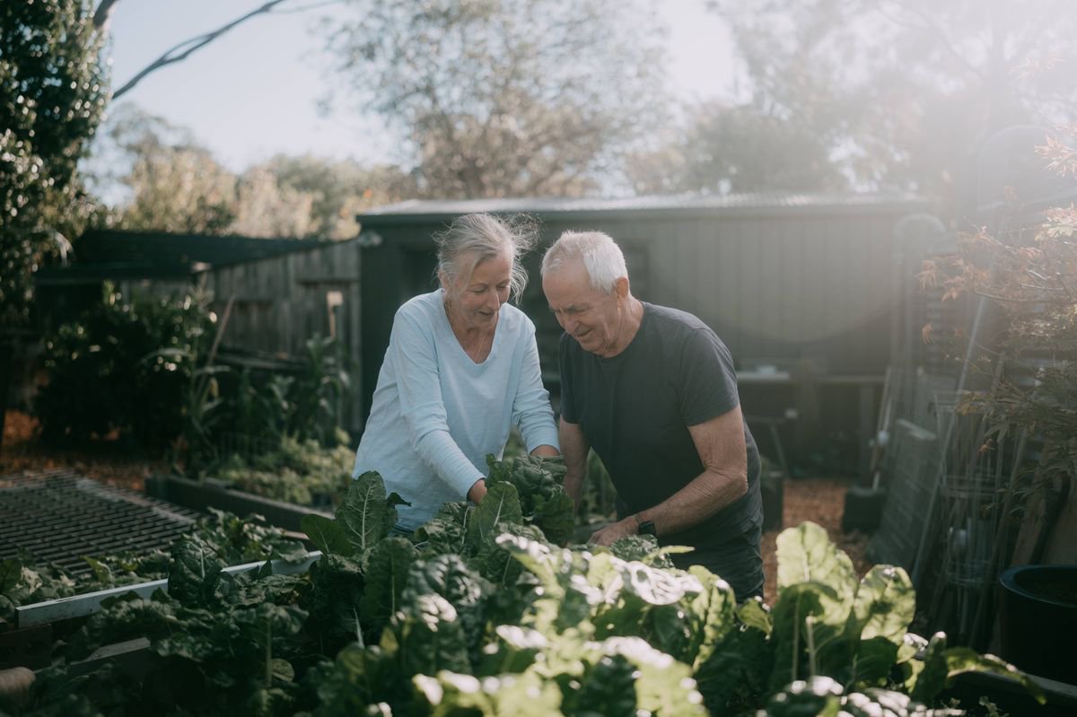 DWP state pensioners born in these years having £100 cut from payments