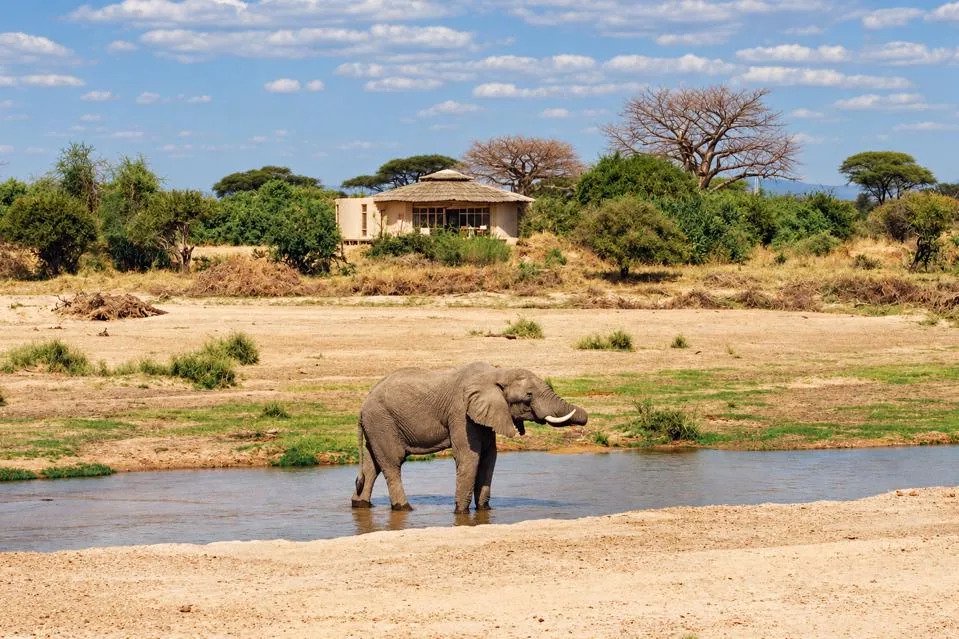 Banyan Tree Opens Its First Safari Retreat In Tanzania, With A Bigger Africa Expansion Ahead