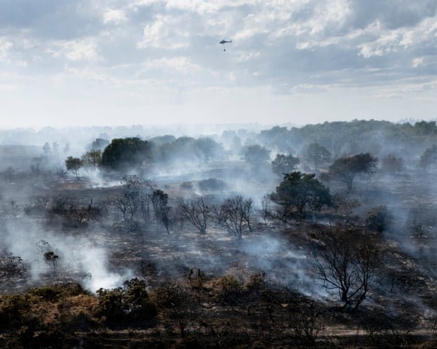 July was worst on record for wildfires in England, data shows